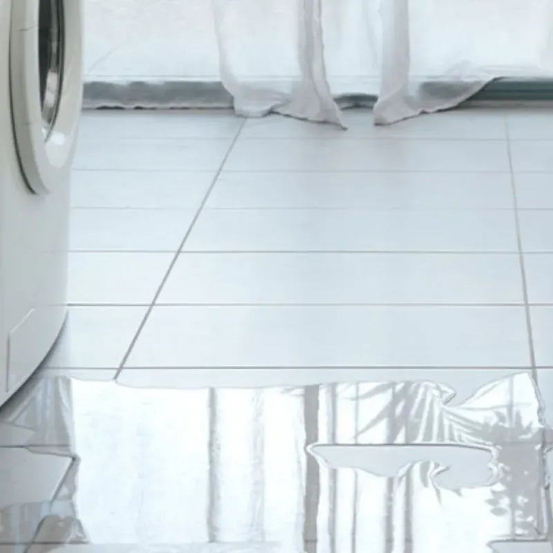 Appliance Leak Cleanup in Elbert County, GA