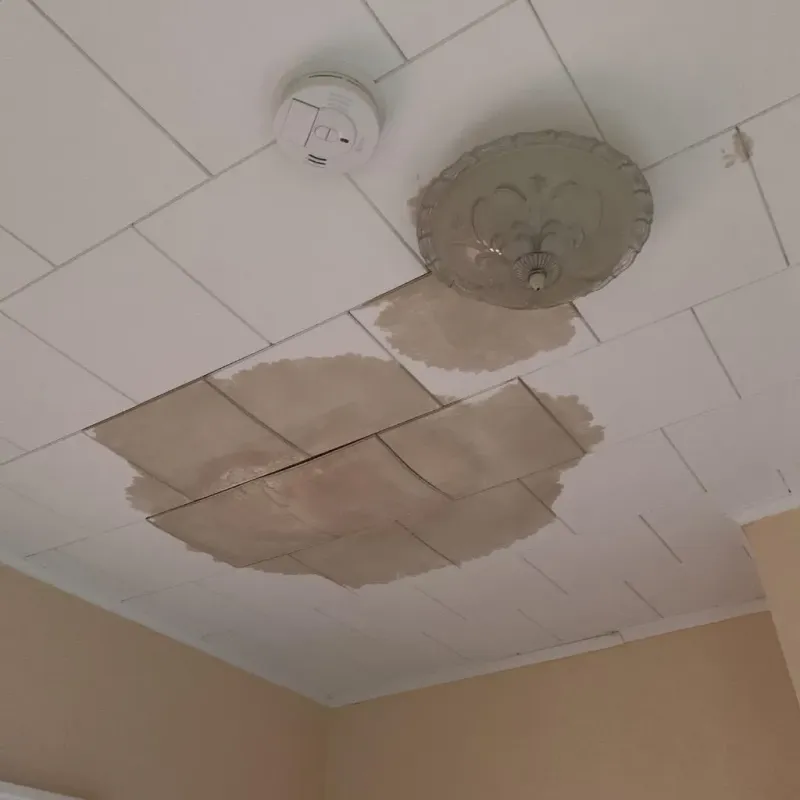 Ceiling Water Damage Repair in Elbert County, GA