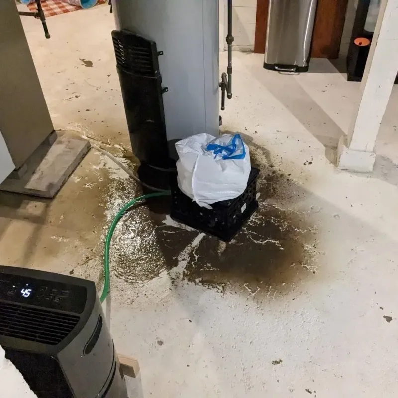 Sewage Backup Cleanup Service in Elbert County, GA